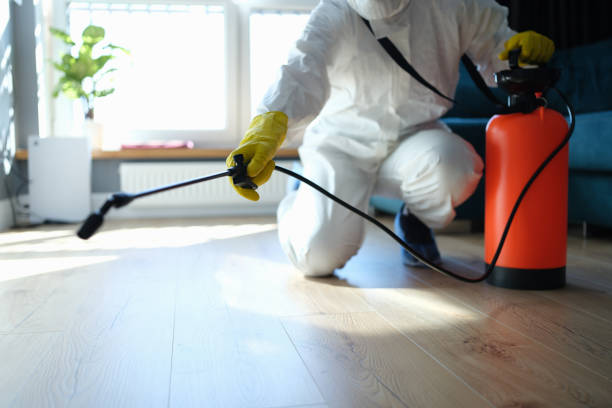 Reliable Infectious Disease Decontamination contractor in Moreland, ID by Trauma Clean Pros